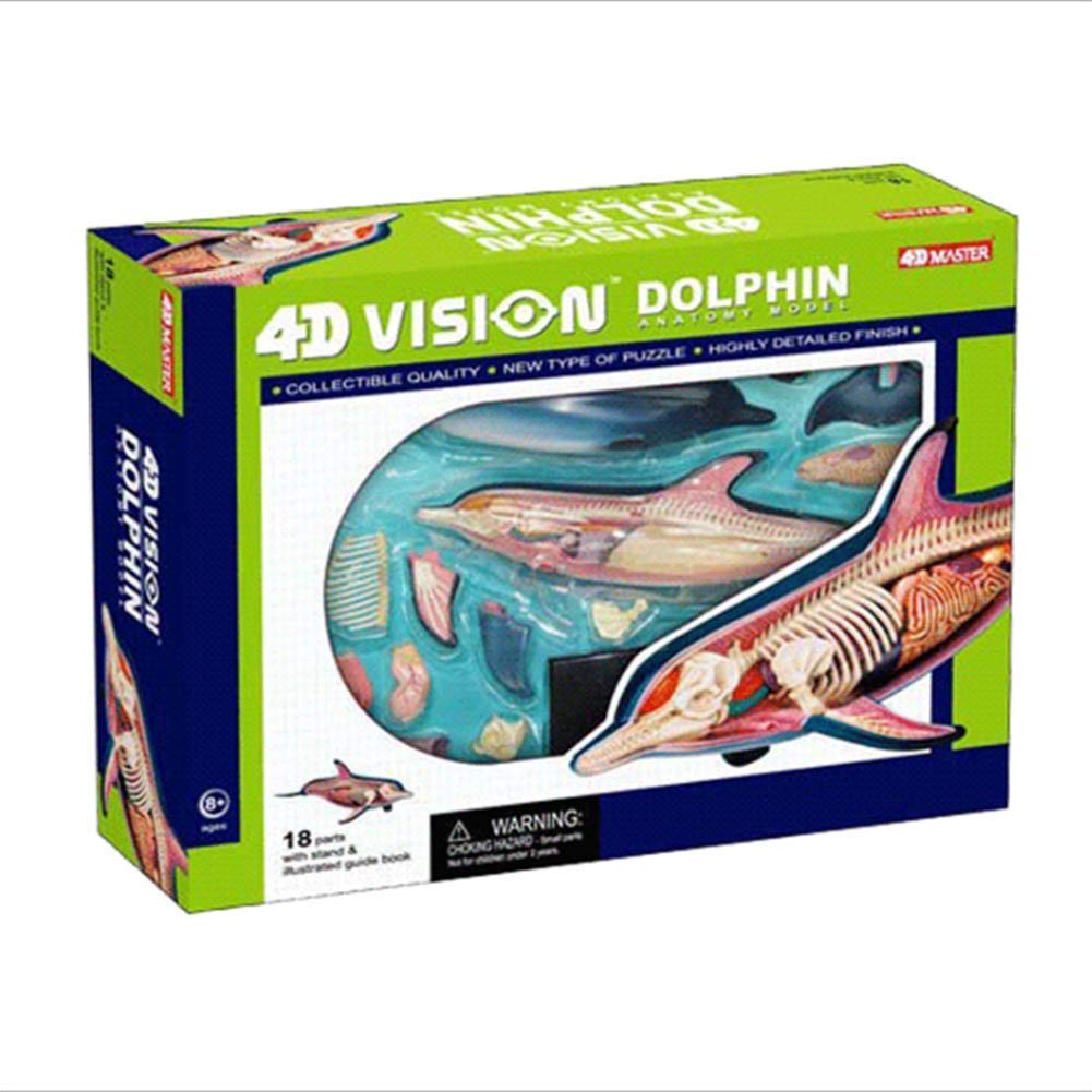 Amazon.co.jp: Dolphin Anatomical Model Excellent Collection Toy 4D